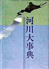 「河川大事典」書影